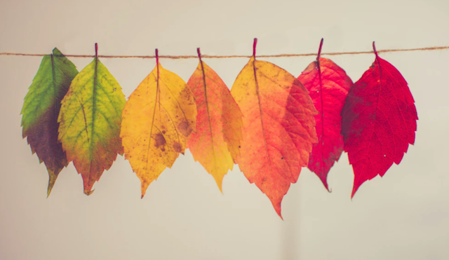 A Business For All Seasons